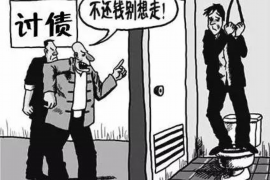 叶县贷款清欠服务